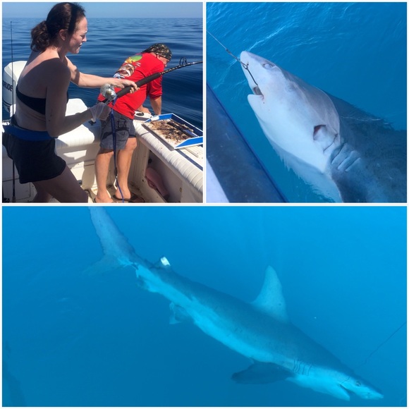 Bookmark me! - Picture 3 of 6